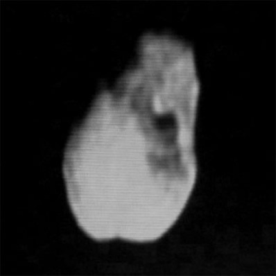 Forr�s: NASA JPL