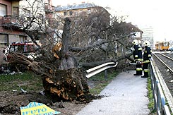 Fotó: MTI