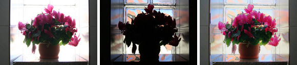 Forr�s: [origo]