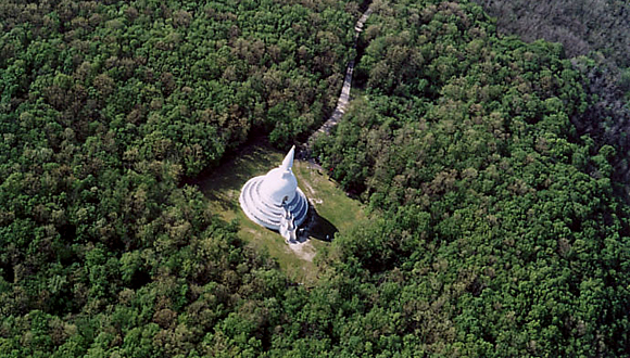 Forr�s: Wikipedia