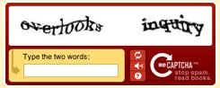 Forrás: recaptcha.net