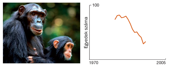 Forr�s: WWF