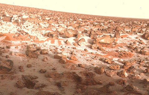 Forr�s: NASA