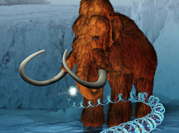 Forr�s: rw.mammoth.psu.edu