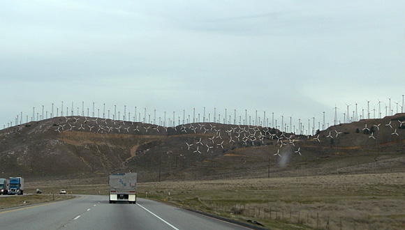 Forr�s: windaction.org
