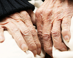 Forr�s: iStockphoto.com