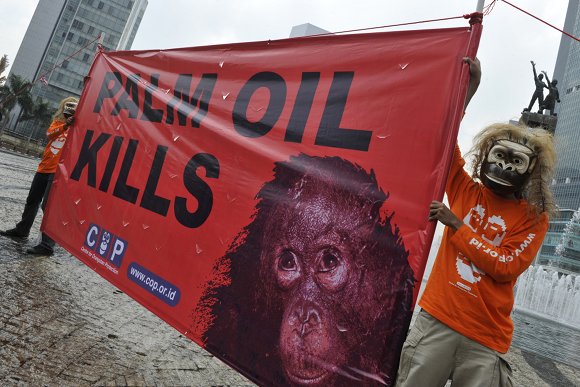 ForrA!s: AFP