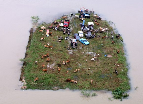 ForrA!s: AFP
