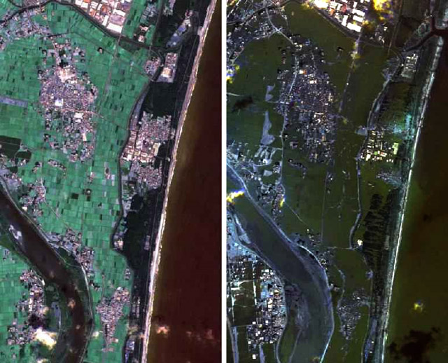 Forr�s: NASA