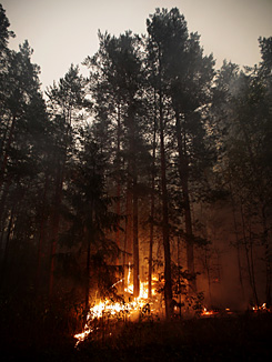 Forrás: AFP/Ruslan Krivobok Forrás: AFP/Ruslan Krivobok