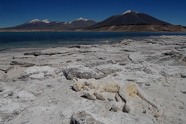 Forr�s: Magyar Atacama Exped�ci�