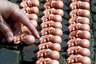 Forr�s: AFP/Robin Utrecht