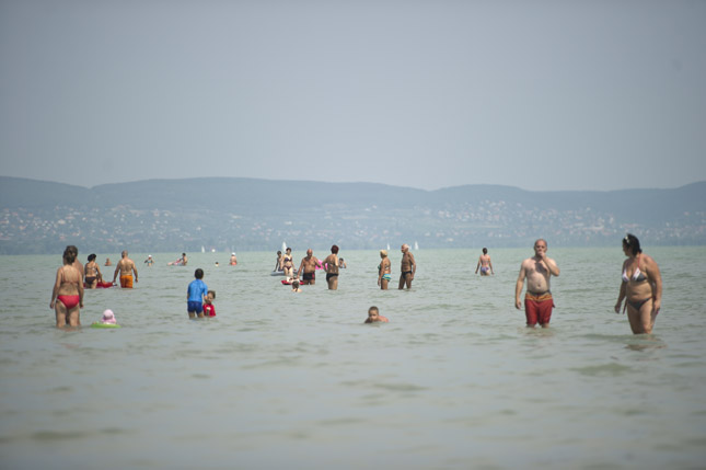 Fot�: Hajd� D. Andr�s [origo]