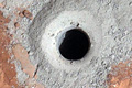 Forr�s: NASA